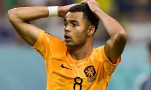 ฟอร์มที่ประทับใจ